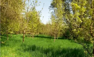 Парк на Жарoкова – Водозаборная вырубают – очевидцы