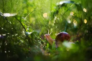 Похолодание придет в ряд областей Казахстана