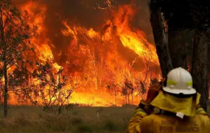 1,4 миллиарда долларов выделят на восстановление после пожаров в Австралии