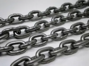 В Алматинской области изверг посадил на цепь родную сестру