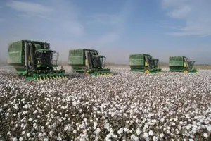 В Туркестанской области установят единую цену на хлопок