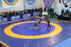 Определены участники финала Кубка Конфедерации-2016