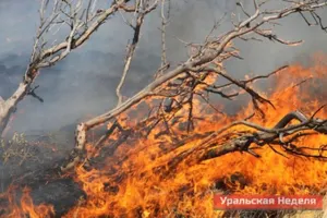 В Западном Казахстане бушует степной пожар