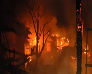 Крупная голубятня сгорела в Алматы (ФОТО, ВИДЕО)