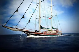 Моряк, оставшийся в открытом море, был спасен чайками