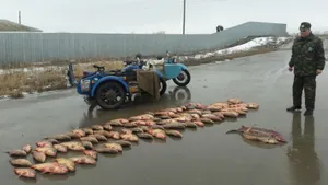 В пригороде Атырау задержаны браконьеры с грузом рыбы