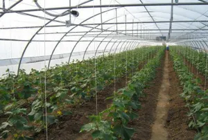 Эксперты: Агросектор Казахстана нуждается в передовых технологияхЭксклюзив