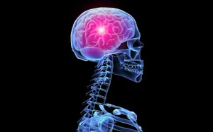 Создана вакцина от рака мозга