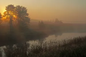 Народные приметы: утренний туман – к оттепели