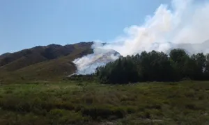 В ВКО огонь охватил степь и лесополосу