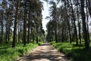 В вопросе о земле казахстанцев пугает коррупция чиновников и иностранцы