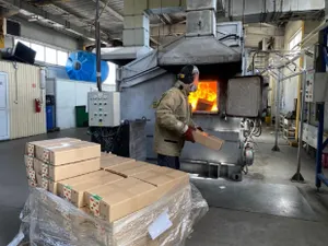 Зараженные семена томатов из России сожгли в Астане