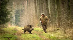 В Казахстане хотят запретить охоту