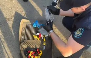 Ақмола облысындағы нашақорлық қоймаларының құрылтайшылары ұсталды