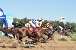 Чистокровный английский скакун озолотил хозяина в Алматы