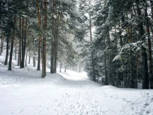 Кофе и чай в обмен на мусор раздают туристам в горах Алматы
