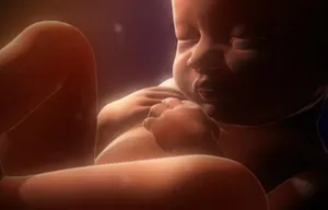 Американские ученые доказали способность плода в утробе различать языки