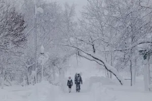 Туман, гололед и сильный ветер ожидаются в Казахстане