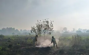 В Усть-Каменогорске тушат горящую сухую траву
