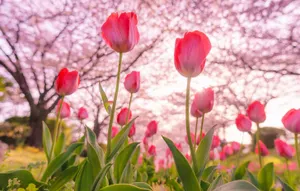 Как будут отдыхать казахстанцы в мае – календарь праздников