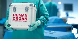 Незаконная продажа человеческих органов пресечена в Актобе