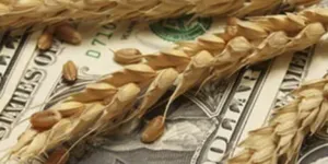 В «КазАгро» подвели итоги программы субсидирования