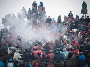 Ош облысында аламан бәйге кезінде жылқылардың жаппай қырылуы орын алды