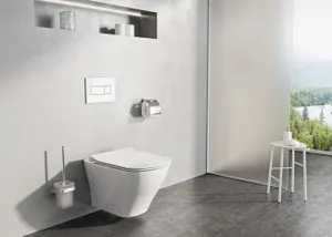 Способ сократить время пребывания в туалете придумали в Британии