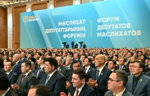 Мәслихаттардың жауапкершілігін арттыруды тапсырды президент