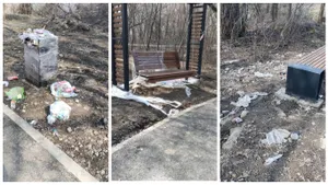 «Утопает в мусоре»: от акима Алматы требуют навести порядок в роще Баума