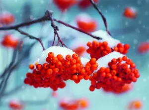 Морозная погода сохранится на большей части Казахстана