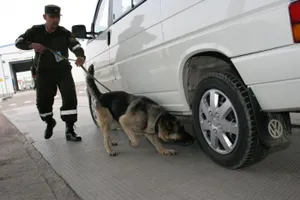 Казахстанец пытался ввезти в Россию 125 литров водки