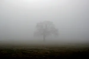 Штормовое предупреждение объявили еще в четырех областях Казахстана