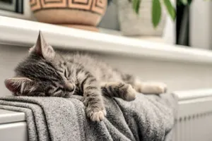 Подачу отопления восстановили в домах Экибастуза