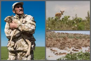 Депутат предложил присвоить звание «Халык Каhарманы» убитому инспектору