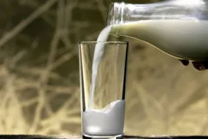 Петропавловская молочная продукция признана безопасной