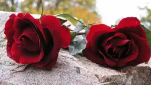 Президент Назарбаев объявил национальный траур