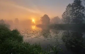 Ветер, град и туман ожидаются на севере Казахстана
