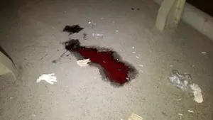 Пьяный мужчина бросился под колеса минувшей ночью в Алматы (ФОТО)