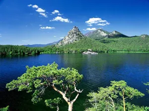 Бұрабай курорттық аймағындағы көлік тұйықталуын жою мәселесі Ақмола облысында талқыланды