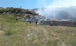 В ВКО подожгли степь на 3000 гектаров