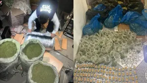 Маңғыстауда есірткі тасымалдаудың ірі арнасы жойылды