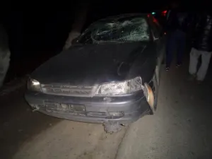 Лошадь пострадала в ДТП в Алматы (ФОТО)