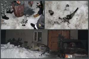 Мужчина забирал из питомника и разделывал собак в Уральске