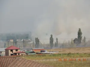 В Алматинской области горит сухостойЭксклюзив
