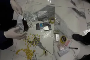 Канал поставки наркотиков организовал иностранец в Шымкенте