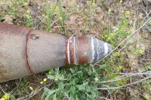 Боеприпас в степи обнаружил грибник из Актау