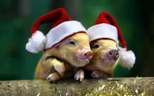 Запрет на изображения свиньи в новогодних украшениях ввели в Туркменистане