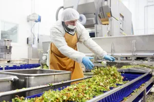 Семь проектов по переработке промотходов запустят за год в Казахстане