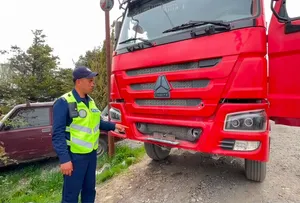 Фальшивые госномера выявили на грузовиках в Туркестанской области